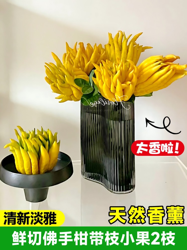 [천연 아로마테라피] 갓 자른 베르가못과 가지 [2] 가지 (병 제외)