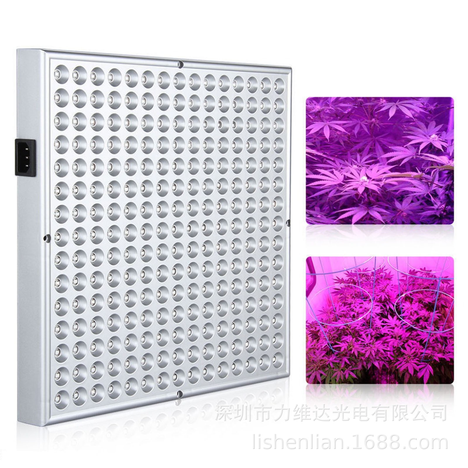 45WLEDֲ﷽̨һֲ粹