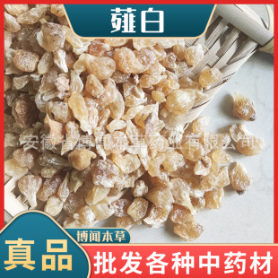 ���l��ș�Ĳ���ޯ�� �Ƀ��o�s����ș�ĸ�ޯ�� С���� ��؛����