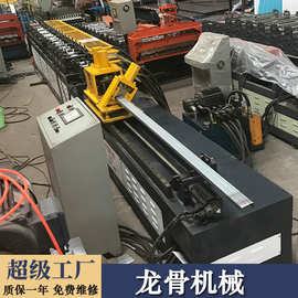 不锈钢60-80伺服追剪龙骨机 30-40追剪追冲龙骨成型设备生产线