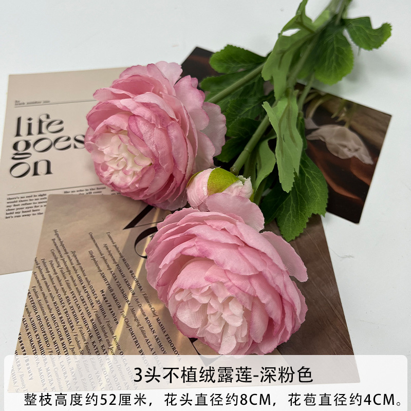 무리지지 않는 다크 핑크