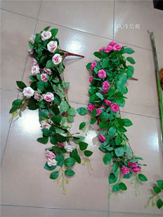 �����Nޱ����õ�廨�ٗl���٠����bڒ��~���p�@�컨���픾Gֲ