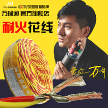 V|fͨZC-RVS 1/1.5 2.5 4ƽȼ~pg늾