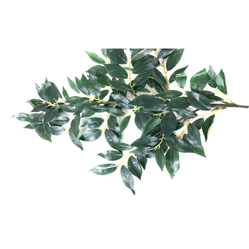 XRB-184 赤楠叶四叉枝110叶2.jpg