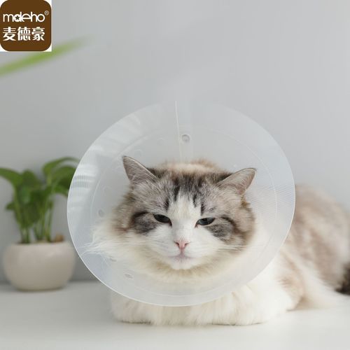 Medalroy Elizabeth Collar, Neck Collar with Quick Release, Anti-Licking, Anti-Biting, Post-Spay Care for Cats and Dogs, Pet Supplies