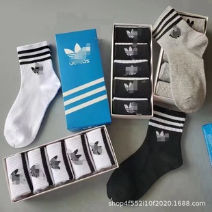 ���~����Ů��H���m�\�Ӷ�Ͳ���b��������͸�⳱��ad��Ͳ���b�m��