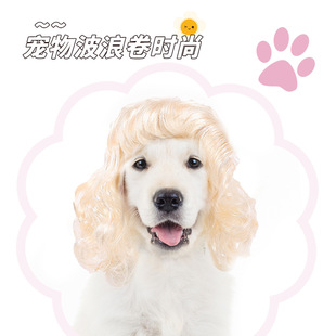 Cross-Border Pet Cat and Dog Universal Wig Light Gold Fashionable Big Waves Holiday Party Funny Long Curly Hair