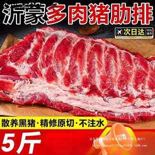 �Ź��i�������r���i���r��ɢ�B���i�����i��С��ԭ��������r���