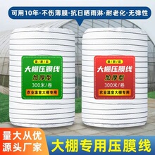 ����X����Ĥ��������Ҵ�����������K�ӷ��L���]�z�ߏ��Ȱ�ɫ