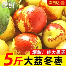 ���󶬗�����ش�̖�������rˮ�������Fժ����5����Ş���ϙ��ؼ�