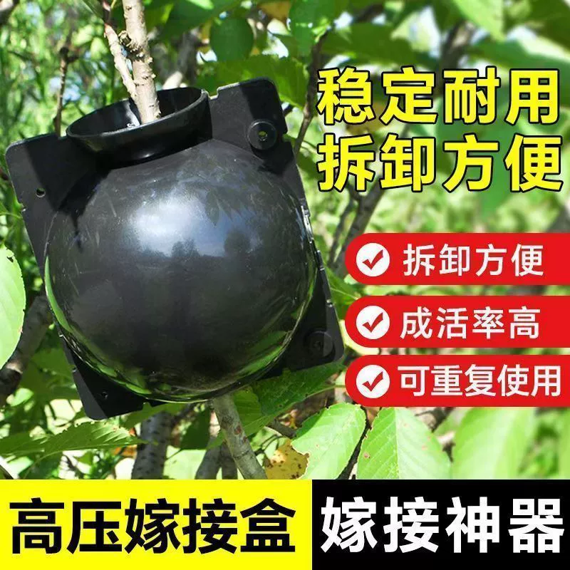 Коробка для прививки под высоким давлением, автоматическая пряжка, коробка для укоренения под высоким давлением, шар для резки растений, коробка для укоренения роз под высоким давлением
