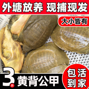 ���B���~���w�r��ʳ��ˮ�~�������S�����~�F�~3���b���r�������M