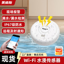 �羳WIFIˮλ̽�y����©ˮ̽�y��ˮλ���������APP����