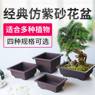 �_�h���辰�滨�����Ϙ�֬��̖����M�����Ϙ��Nֲ��ɰɫ�L����