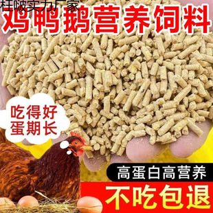 ���u����w���uʳ���ZҰ���~������Ϯa���u�r�u�_����ȫ�r���