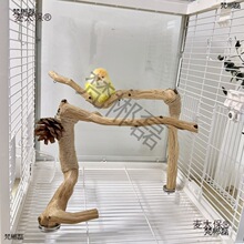 W^\Ȼ\վܺվBվܘ֦PҰľĵ̫