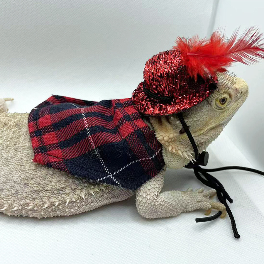 蜥蜴 帽子 披風衣服 萬聖節 聖誕節套裝 爬寵外出變身裝