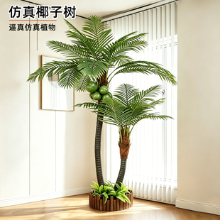 ����Ҭ�Ә��҃��b��ͷ���ֲ�������̈�������ϾGֲ�٘䙉�Ƙ�