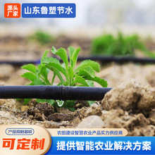 16mm内镶圆柱式农田滴灌管苹果蓝莓葡萄滴灌管上喷下滴内镶滴灌管