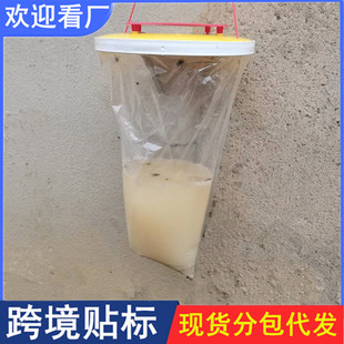 �羳�nωץ�����nω�����nω���T�����nω��׽������ω������ω�\