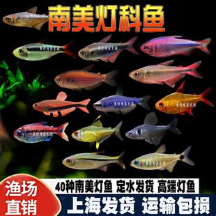 ���������~���ę���늹ⶾș�t�¿ɿ�ħ��Ꭷ�^�pˮ�ݸ�Ⱥ�λ��w