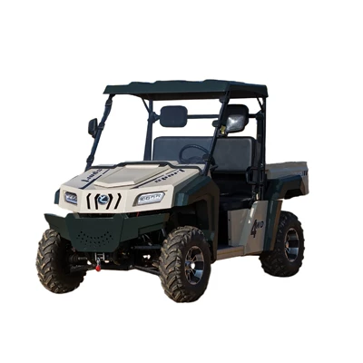 Scooter, Go-Kart, Elektrikli motosikletlər