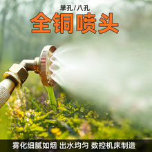 늄ӇFrșșC8~^āFrø߉~^