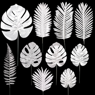 �羳����Gֲ�yɫ�����~�b� ��c�廨������zӰ�b�ֲ��[��