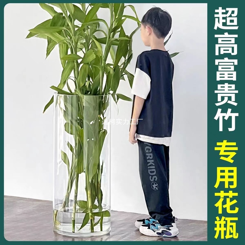 床置きストレート大型富竹ガラス花瓶透明転送竹花瓶リビングルーム富竹水耕装飾品|undefined
