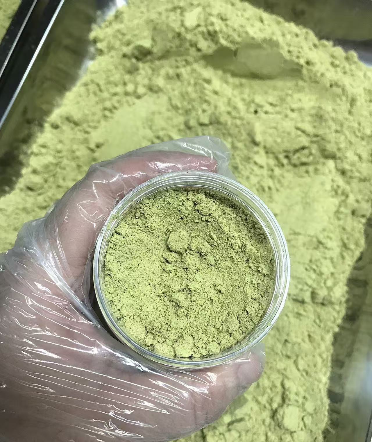 Mint Leaf Powder Bo He 薄荷 Ultra Fine Ground Herbal Powder 500g for Tea and Culinary Use specifications