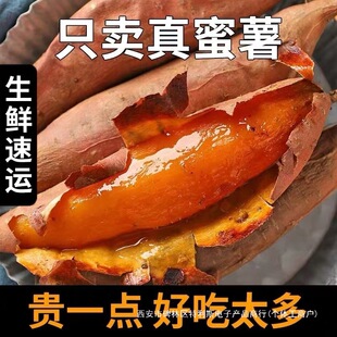 ɽ�|�r���ԷN����25�����F�����r���Ϳ��팣��ɳ�ؼt��