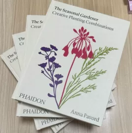 纸盒;宣传画册;书刊杂志印刷