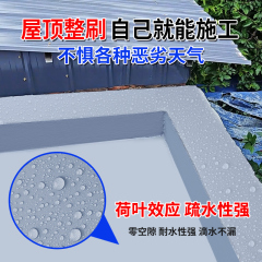 屋顶防水涂料补漏材料楼房顶外墙沥青堵漏胶水水性聚氨酯防水材料