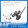 am多功能放大组合天线