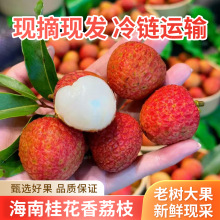 2026�����r��֦�Fժ�F�l������֦���������^����֦���\