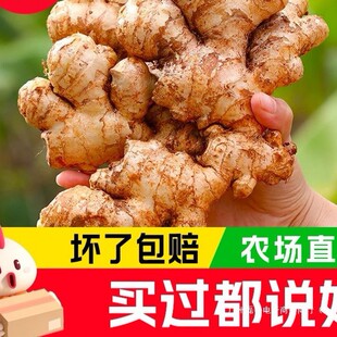 �������С�S�����r�_ƽ�����Ͻ������S���F�����ӽ��ɽ�����ɳ��