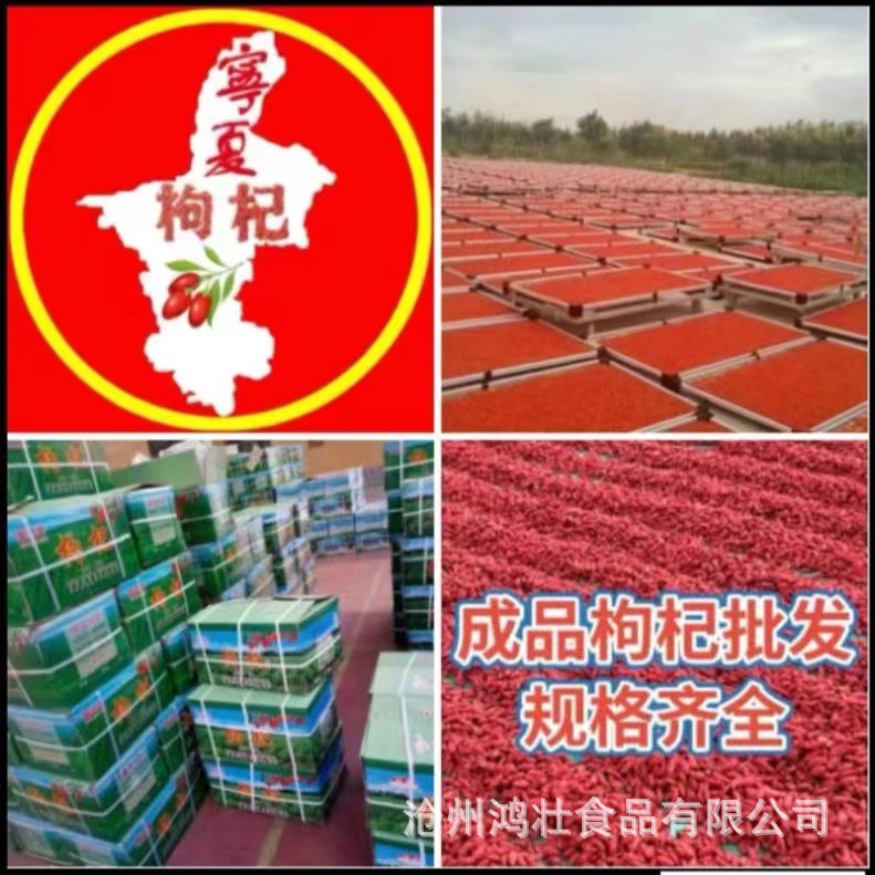 红枸杞1.jpg