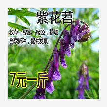 @GʷNӹ~ϻLëҰ㶹ëBԴֲݲ