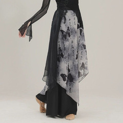 古典舞新中式水墨畫國風身韻中國舞藝考舞蹈演出服練功服