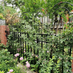 Green Row Flower Rack Rose Flower Climbing Rack Outdoor Climbing Support Rod Iron Support Rack Plant Gardening Support Column
