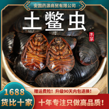 土元土鳖虫中药材土元虫地鳖虫士鳖虫非野生土元干非金边打土元粉