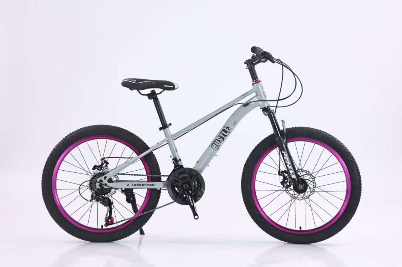 22 Phoenix viento violeta círculo bicicletas de montaña cambio de velocidad bicicleta de montaña para adultos