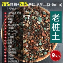 颗粒土多肉专用彩虹石介质多肉植物铺面石种植泥炭一件批发