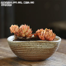 景德镇风格多肉花盆复古粗陶小老桩植物创意陶瓷大口径拼盘