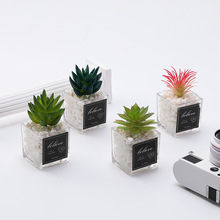 梦松仿真多肉小四方玻璃多肉假绿植盆栽跨境亚马逊热销现货批发