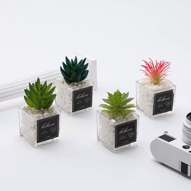 梦松仿真多肉小四方玻璃多肉假绿植盆栽跨境亚马逊热销现货批发