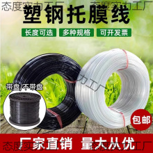 ��䓾�����K�ߏ��ȴ��Ĥ��������Ļ���Ϲ���܈@ˇ�Bֳ�r�I