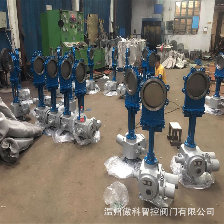 PZ673H-10P DN300 梅花型气动刀闸阀 不锈钢泥浆物料气动刀闸阀