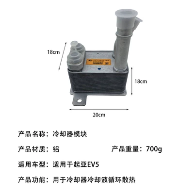 Suitable for Kia Ev5 Electric Vehicle Cooler Radiator Coolant Circulation Cooling Device Oe25670Mb00 (Soyutma sisteminin digər hissələri) - ev5-cooler-module