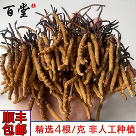枸杞及其制品;冬虫夏草;麦类